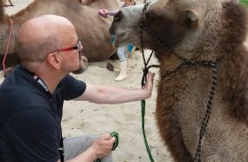 Christian berührt ein Kamel am Hals